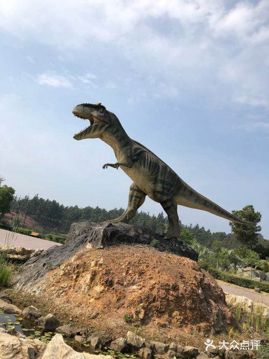 南京银杏湖乐园图片