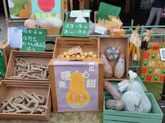 -中国天府农业博览园