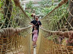 -正佳雨林生态植物园