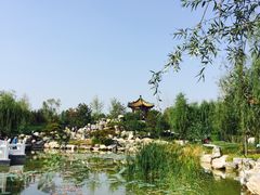 -武清南湖绿博园