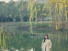-习家池