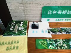 -菩提树下茶咖鼓捣