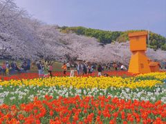 -苏州上方山国家森林公园