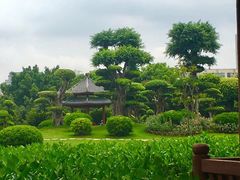 -南宁南湖公园