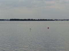 -漕湖湿地公园