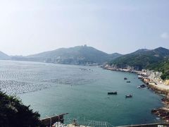 -枸杞岛