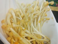 -蜀九香火锅(九眼桥店)