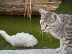 -武汉紫薇都市田园