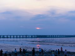 -宝安西湾红树林湿地公园