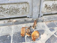 -终南山南五台景区