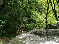 -陕西省红河谷森林公园