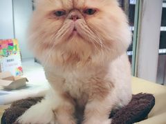 -小时光咖啡馆(开森度假森林店)