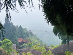 -玉苍山国家森林公园