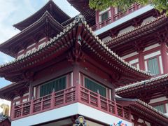 -新加坡佛牙寺龙华院