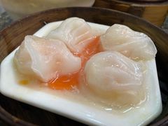 虾饺-恒兴发茶店(十三小店)