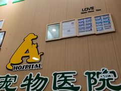 -半岛宠物医院24小时·内窥镜·牙科·碎石中心(府城大道店)