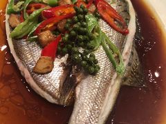 油淋鲈鱼-鹿港小镇(霄云店)