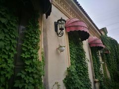 -北京张裕爱斐堡酒庄