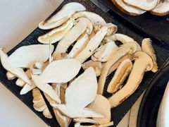 -蘑统田下·野生菌火锅