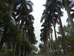 -万绿园