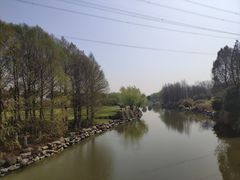 -九里河湿地公园