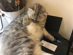 -拾壹cafe·工作室