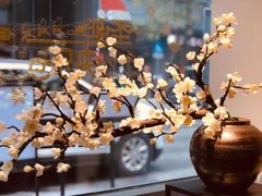 -梅花境(万科店)