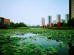 -天津东丽湖风景区