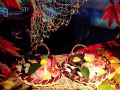 刺身五种拼盘-地球美食剧场