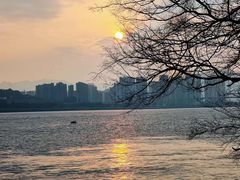 -江心屿景区