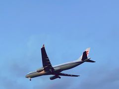 -空港花田景区