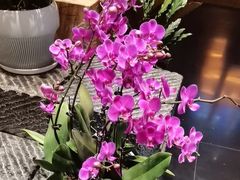 -黔蘑菇四季餐厅(观山湖店)