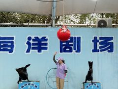 -无锡动物园·太湖欢乐园