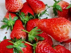 -幸福荣耀超市(学院路店)