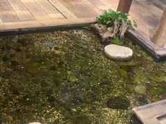 -邈墨茶馆(大兜路1号店)