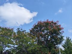 -马濠公园