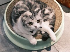 -作咖啡(养育巷店)