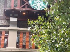 -星巴克臻选(思南公馆店)