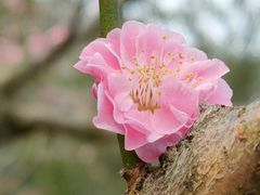 -昆山城市公园