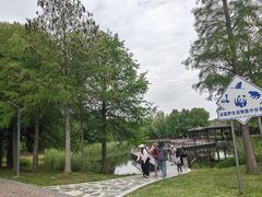 -同里国家湿地公园