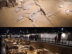 -洛阳周王城天子驾六博物馆