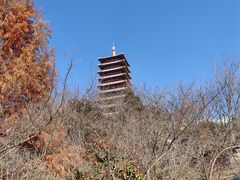 -牛首山文化旅游区