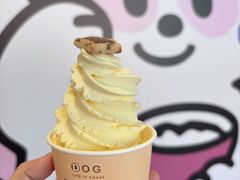 -dodonpa.墩墩伐 便当食堂(博华广场店)