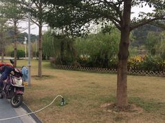 -飞凤山奥体公园