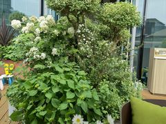 -La Terre乐田(万象城店)