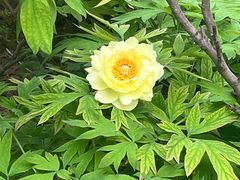 -洛阳市隋唐城遗址植物园