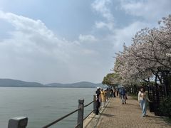 -无锡蠡湖国家湿地公园-蠡园
