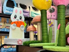 -糯米喵星人总部直营旗舰店·猫舍·幼猫出售