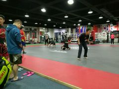 -格斗兄弟搏击健身训练馆(望京店)