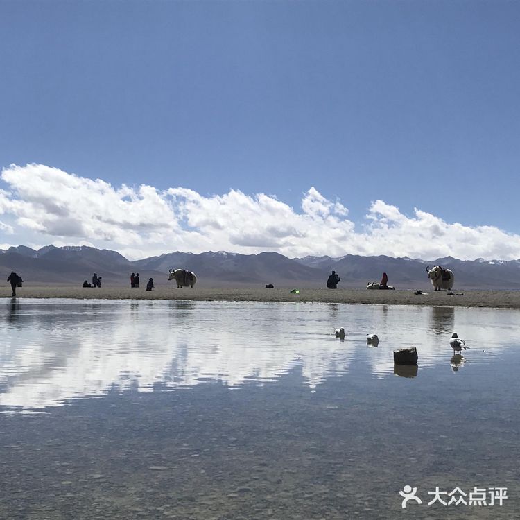 很多人会带上氧气瓶 因为是持续六七个小时都是高海拔